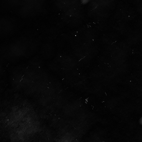 Meet your Posher, Femmy - Picture 1 of 1